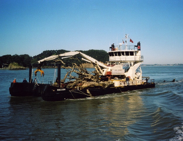 Derrickboat Raccoon with a Load of Debris