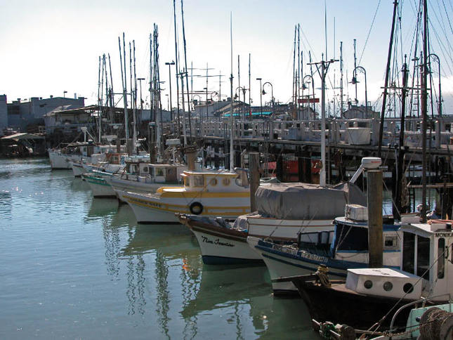 Fisherman's Wharf Fleet