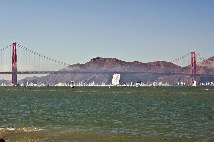 Maltese Falcon and the Golden Gate Bridge