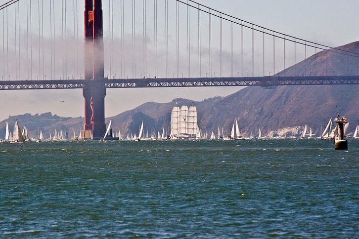Maltese Falcon Under the Golden Gate