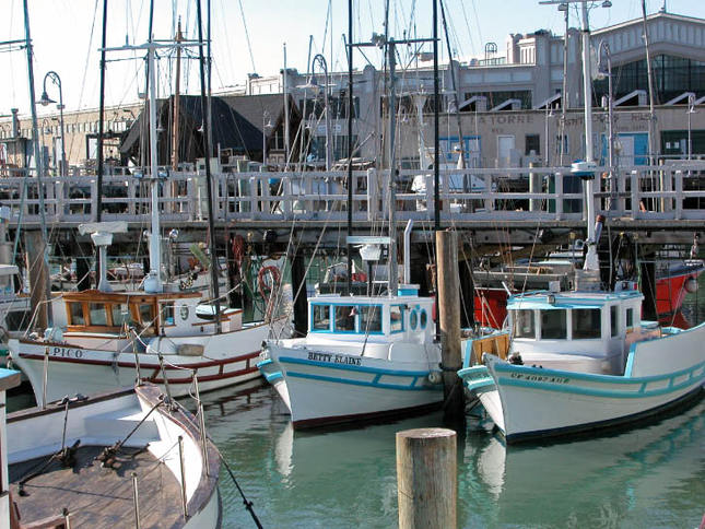 Monterey Fishing Boats at Fisherman's Wharf