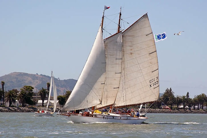 Sailboat Heading To Marina
