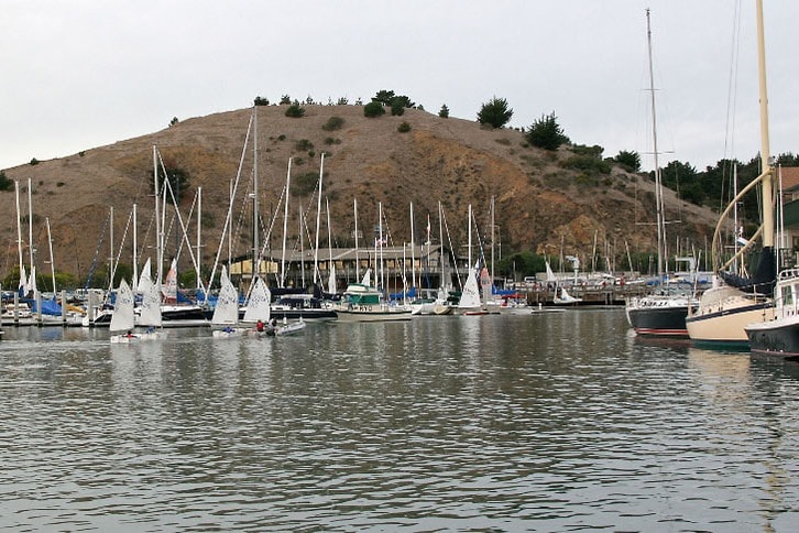 Sailboats In Harbour