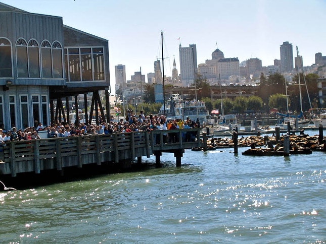 Tourists and Sea Lions at Pier 39