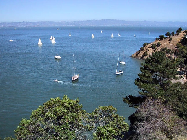 View East from Angel Island