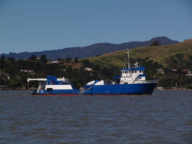 White and Blue Workboat